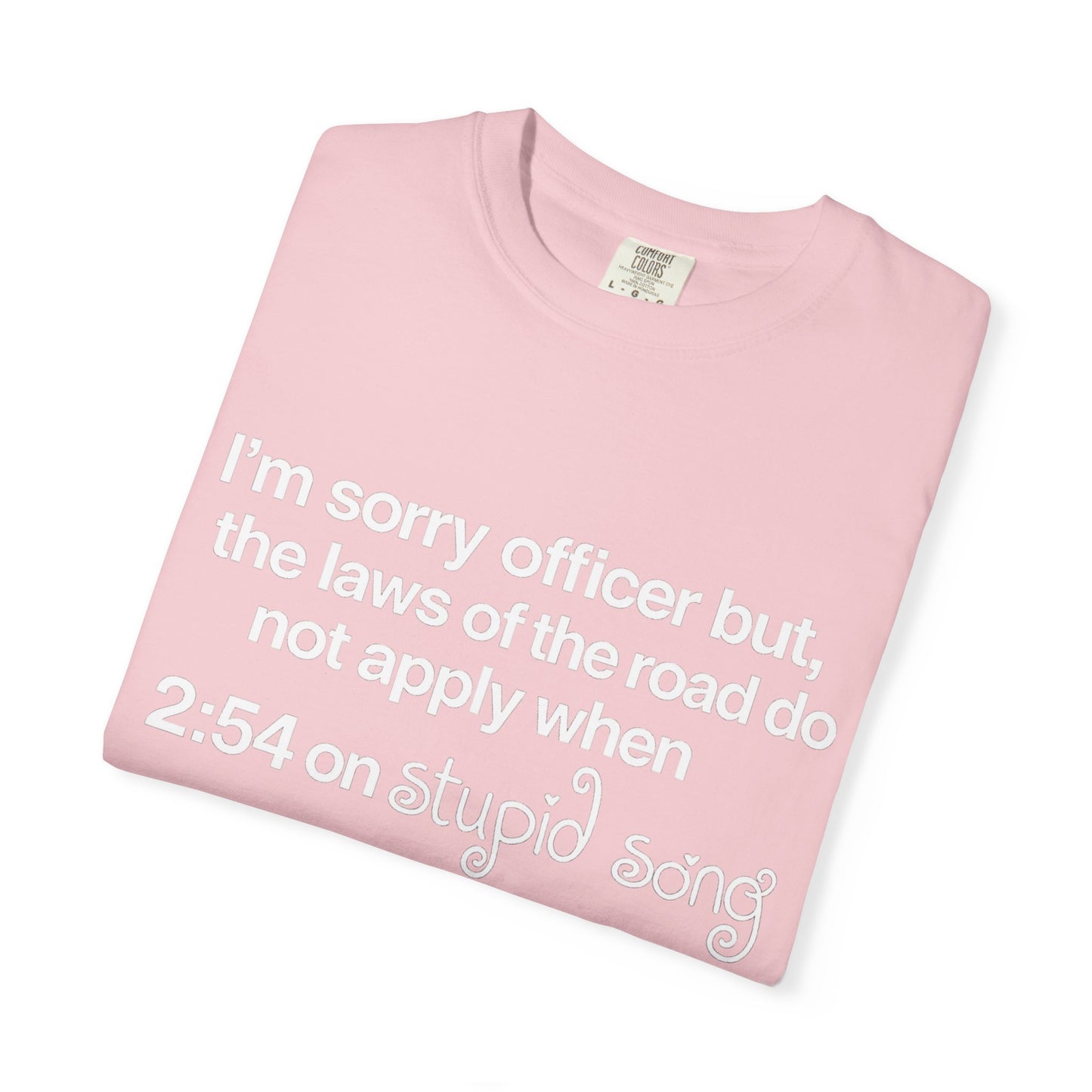 stupid song road laws shirt