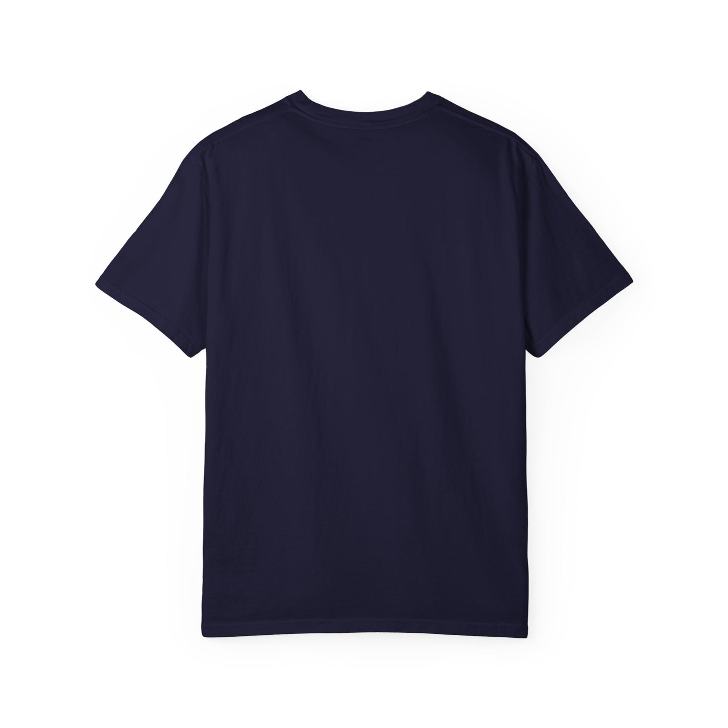 stupid song road laws shirt