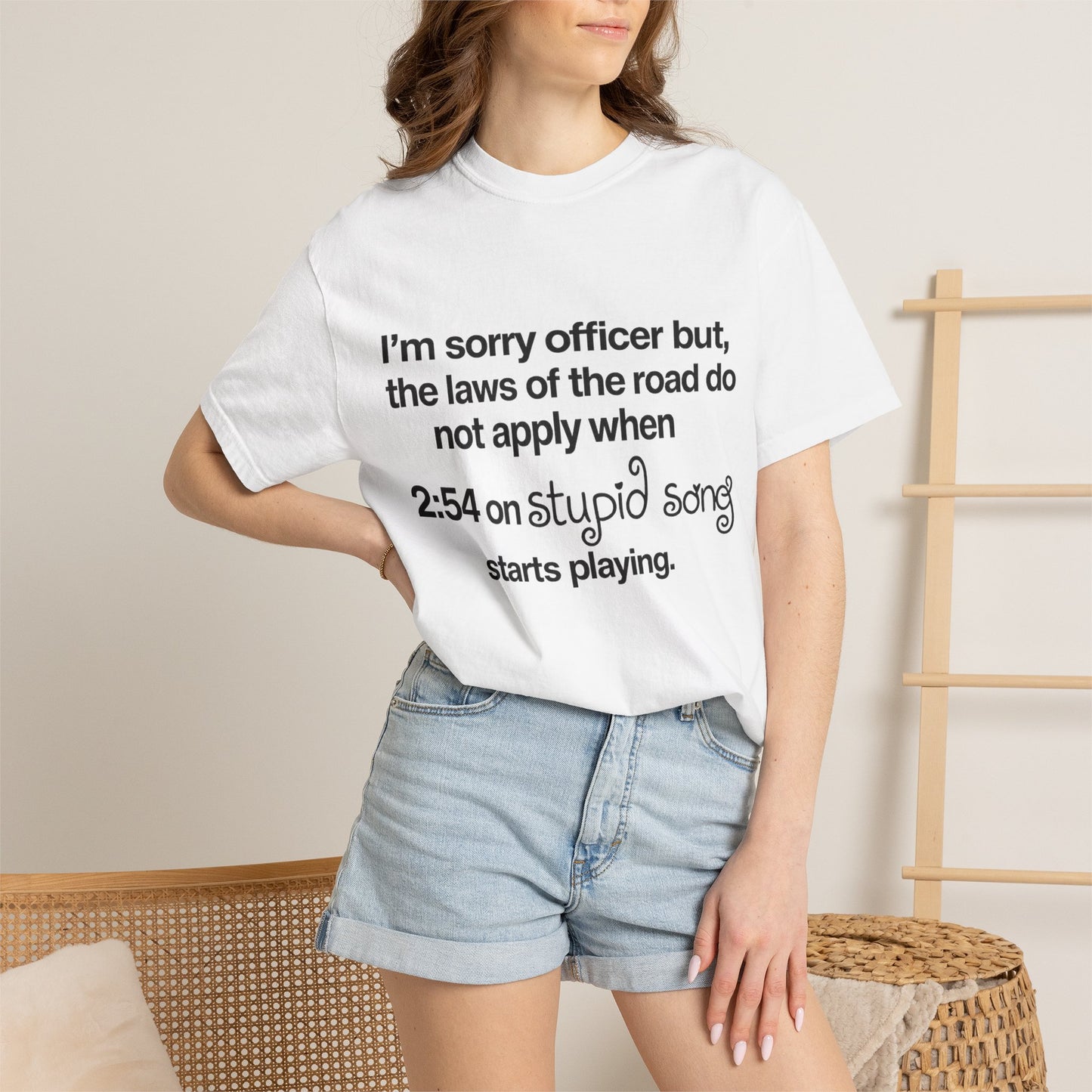 stupid song road laws shirt