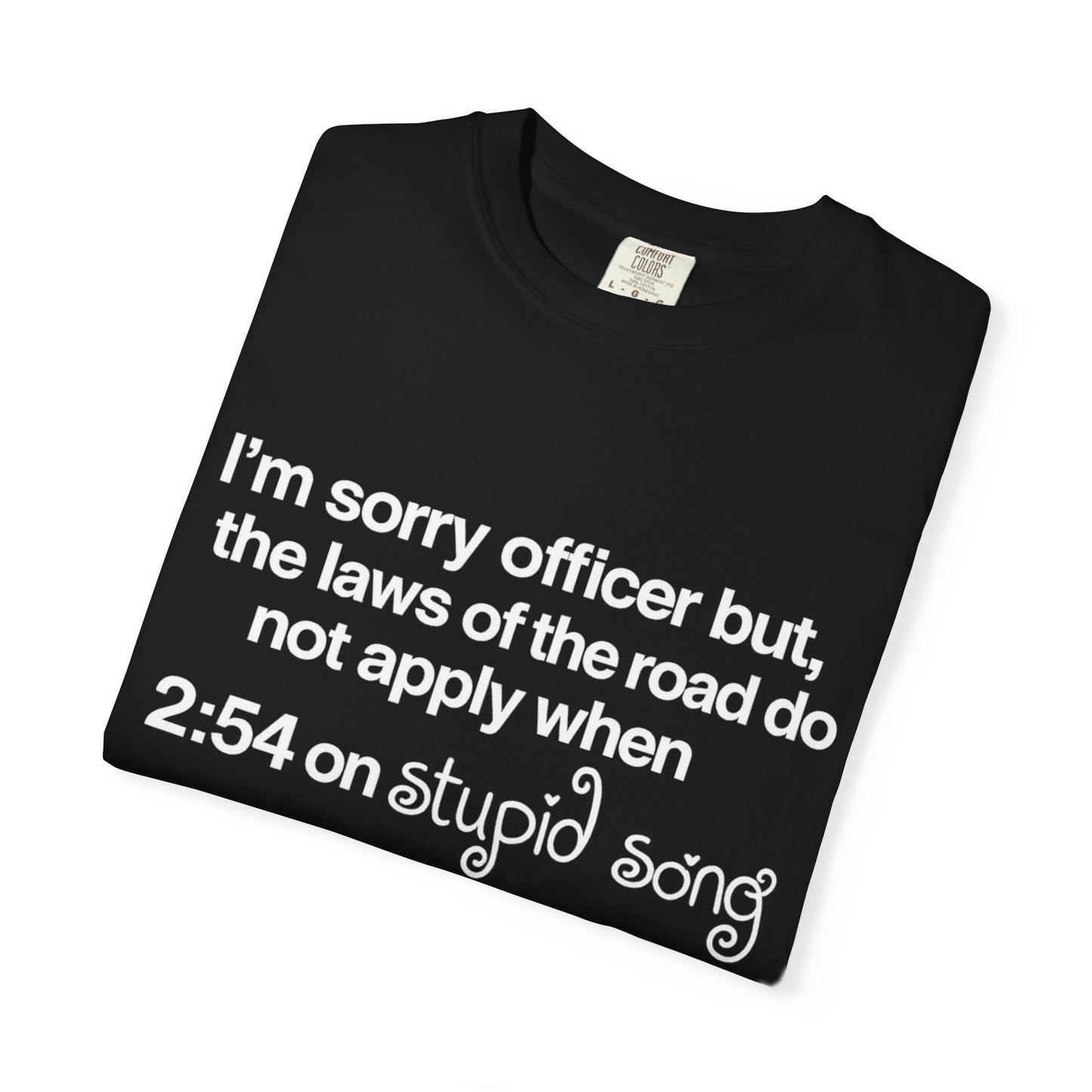stupid song road laws shirt